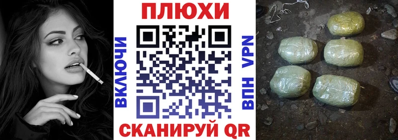 ГАШ Premium  Краснообск 