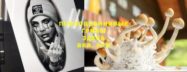 стаф Алексин