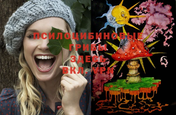ГАЛЛЮЦИНОГЕННЫЕ ГРИБЫ Коряжма