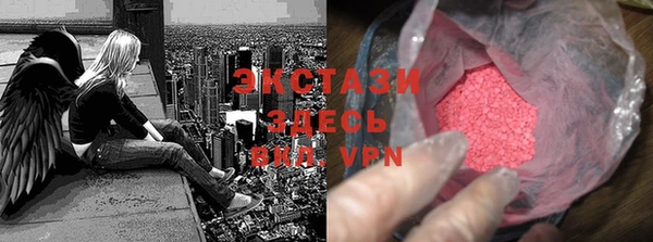 стаф Алексин