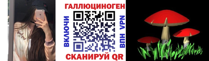 Галлюциногенные грибы Psilocybe  продажа наркотиков  Краснообск 